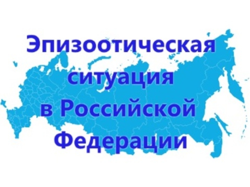 Информация об эпизоотической ситуации в Российской Федерации по состоянию на 11 мая 2020 года.